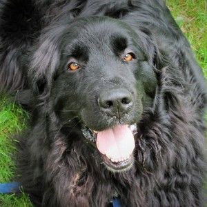 Meet your Posher, Lydia